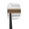 PING Scottsdale TEC Ally Blue Onset Putter