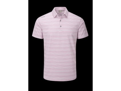 P03463 ALEXANDER WHITE RASPBERRY FRONT