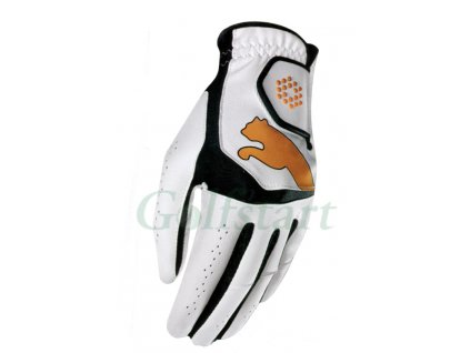 Puma glove junior