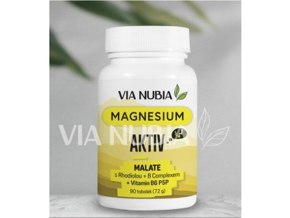 Magnesium AKTIV 90 kapslí
