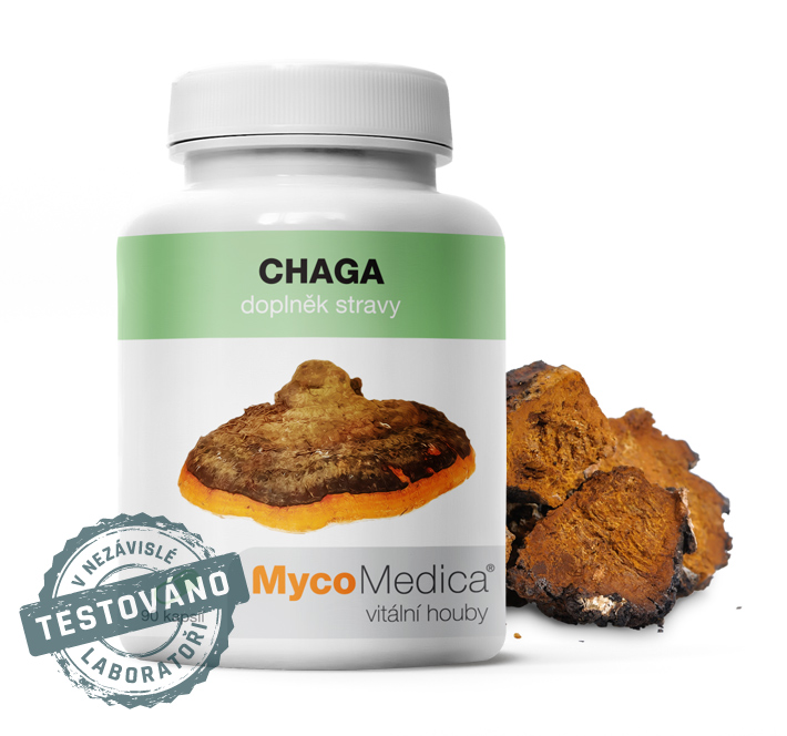 Chaga - rezavec šikmý- v optimální koncentraci 90x 500mg