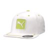 vyr dl 322 1 1812 90816504 puma cap