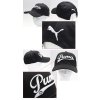 vyr dl 419 12 4478 2 puma script city cap3