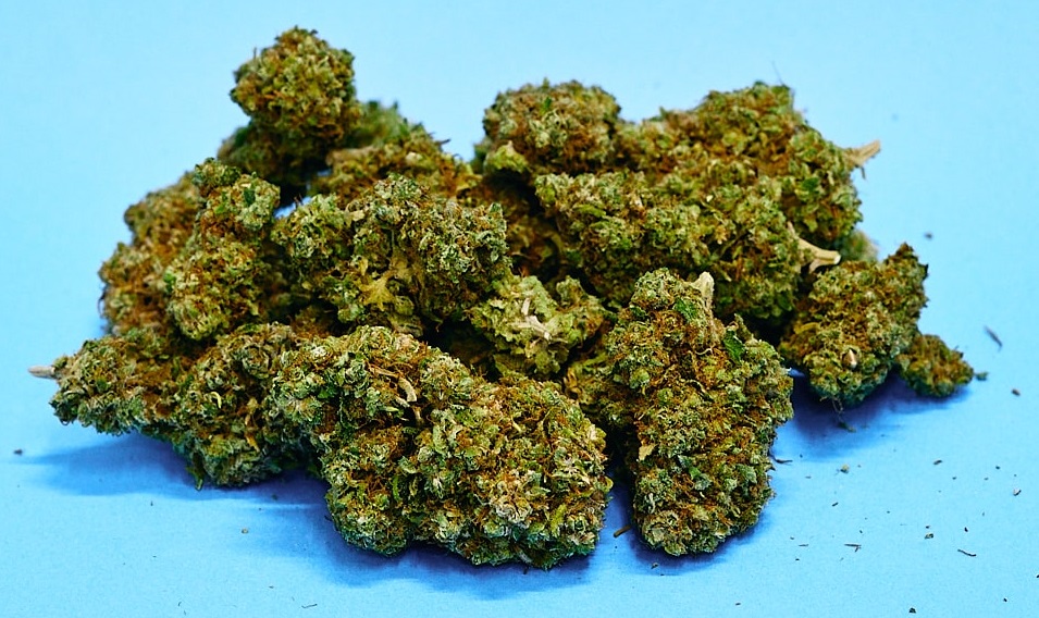 Purple Gas a Frosty Heaven – zázraky kalifornské genetiky