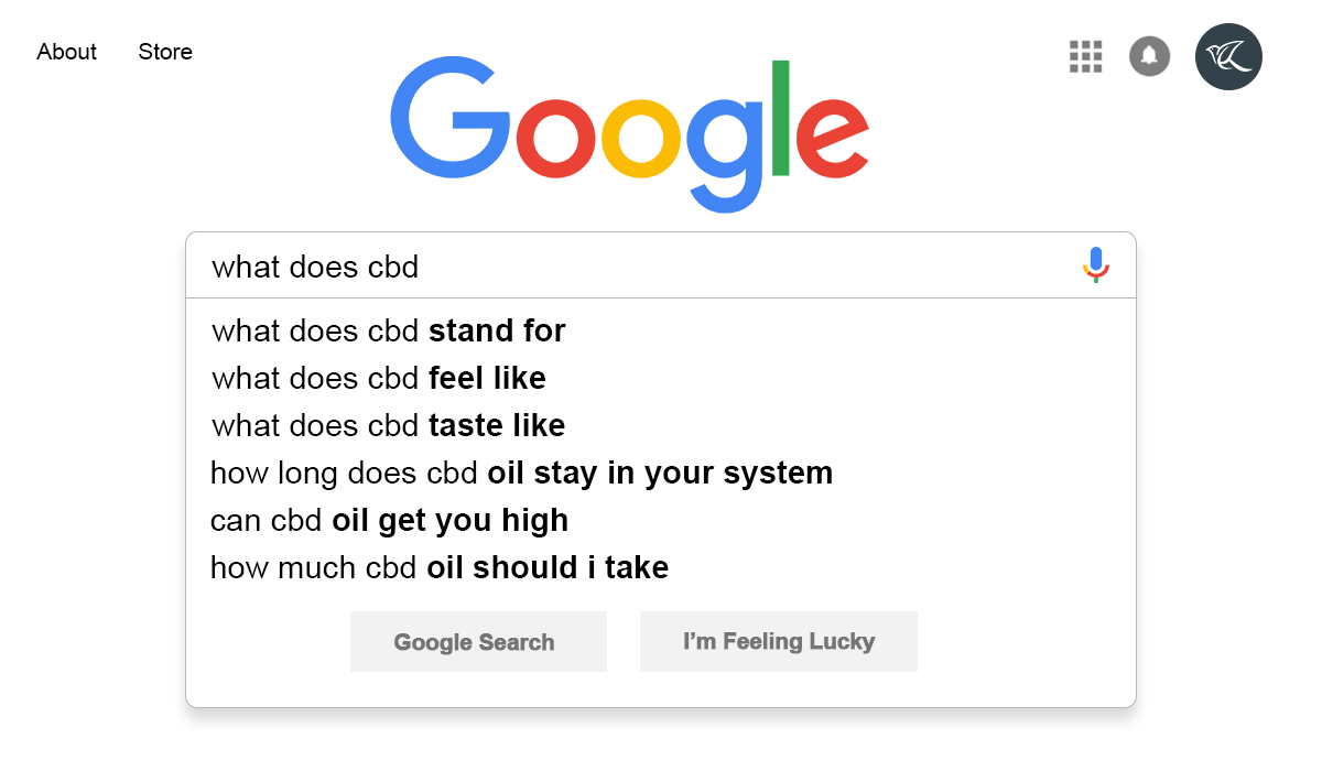 CBD, akupunktura, nebo jablečný ocet: Co lidé nejčastěji hledají?