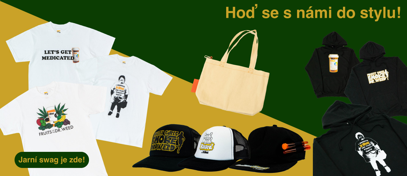 Oblečení