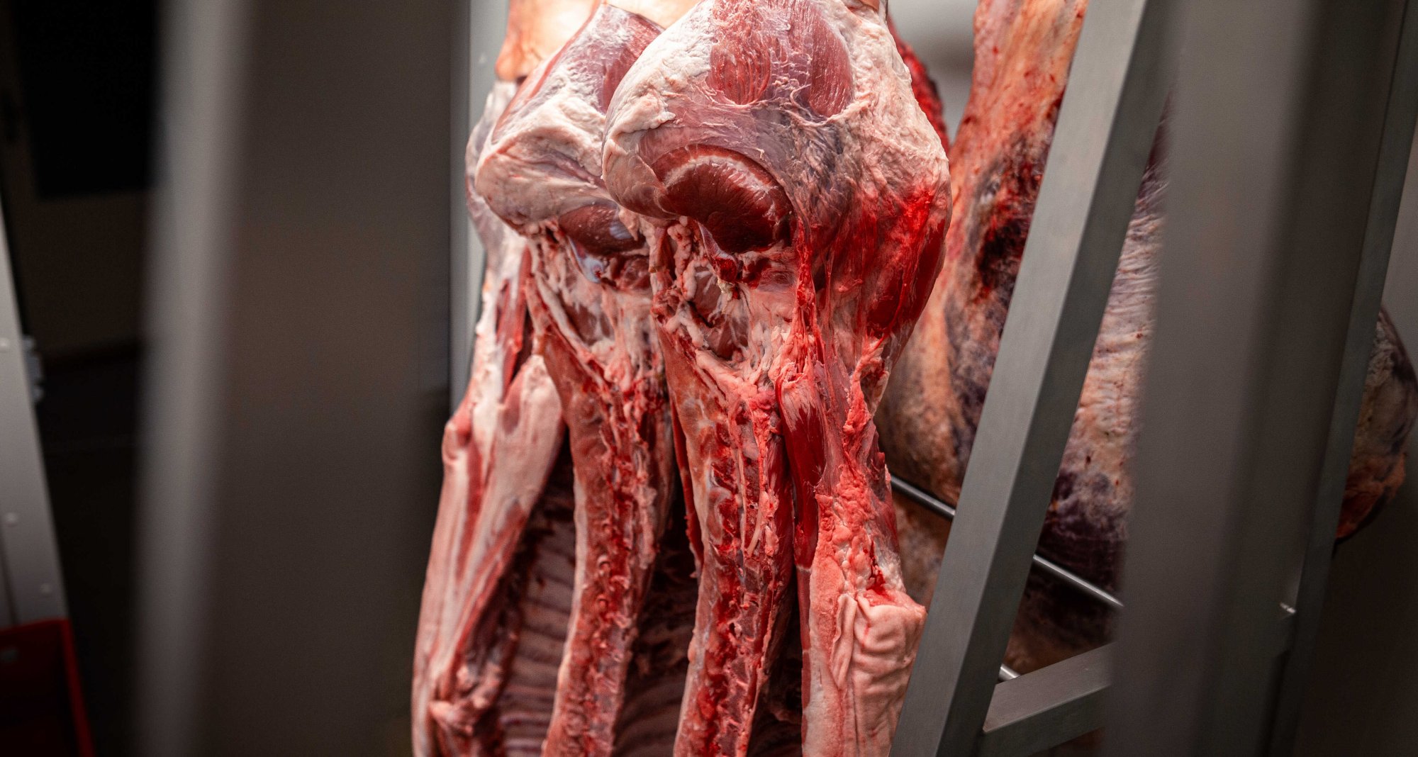 Proč je důležité podporovat lokální farmy a jak to ovlivňuje kvalitu potravin