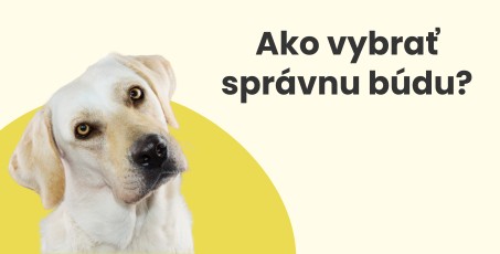 Ako vybrať správnu veľkosť búdy pre psa