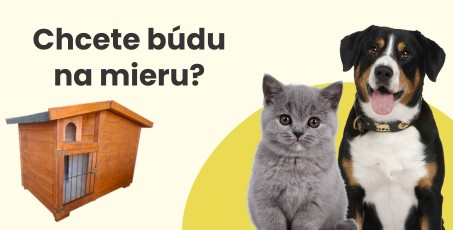 Búda pre psa alebo mačku na mieru
