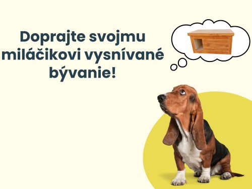 Búdy pre psy a mačky