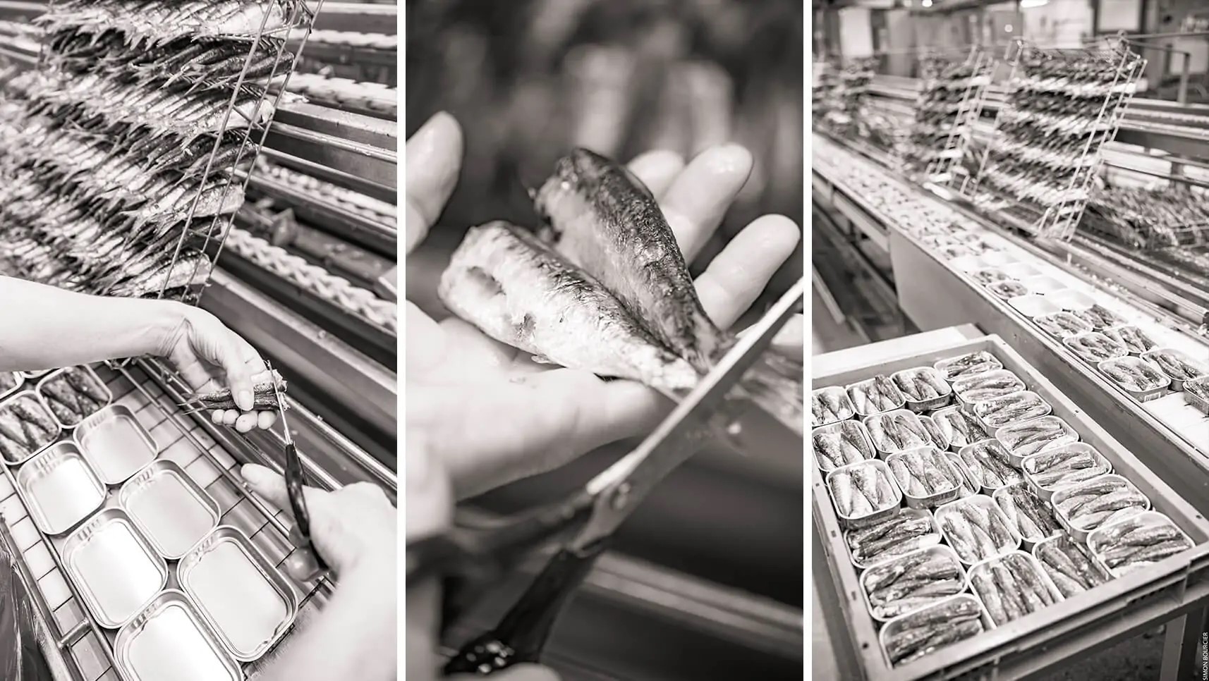 sardines-millesimees-savoir-faire-1714x966-249fc5ad1d50