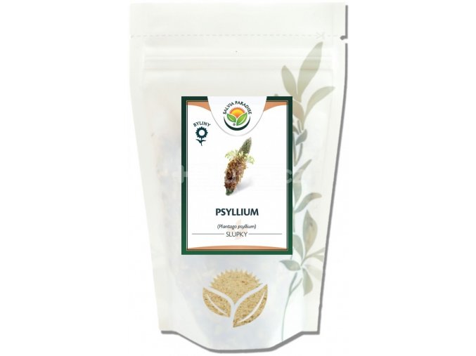 salvia paradise psyllium