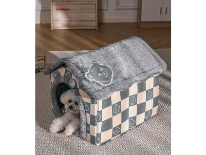 Grey bear