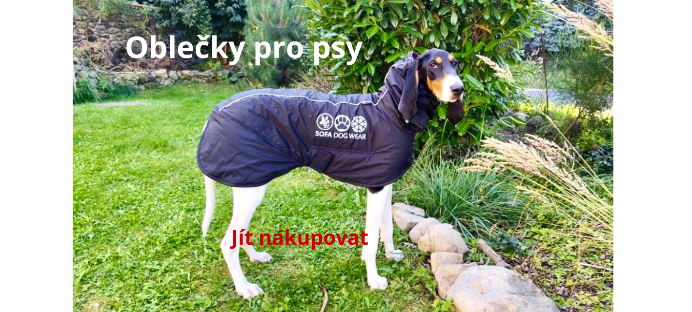 Oblečky pro psy1