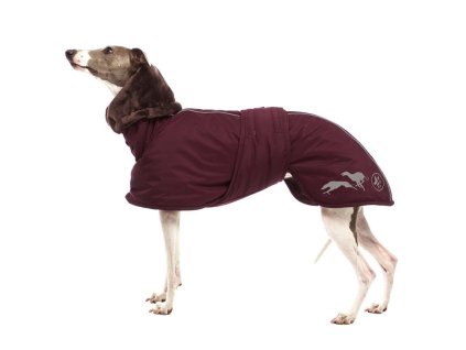ELVIS Sofa Dog wear