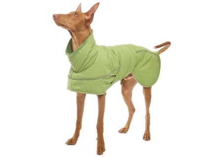 ASPEN PLUS - zelená Sofa Dog Wear