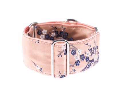 Obojek pro chrty - Apricot sakura