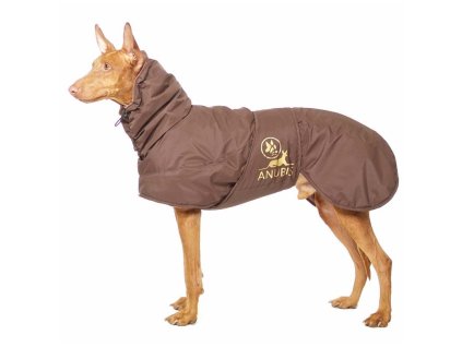 SDW ANUBIS - Sofa Dog Wear