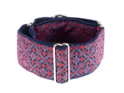 Aristocratic red-blue