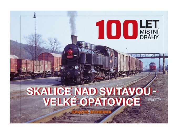 web 100 let mistni drahy