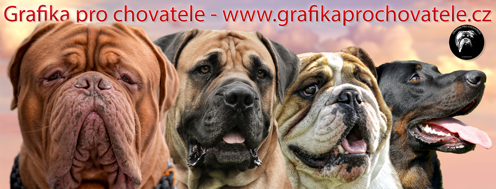 Grafika pro chovatele