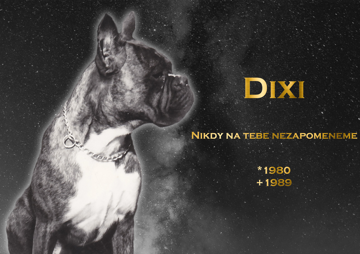 Dixi