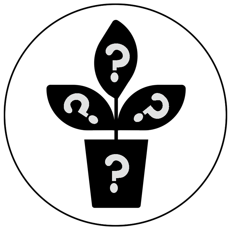 Proč nakoupit v Grafikusu?
