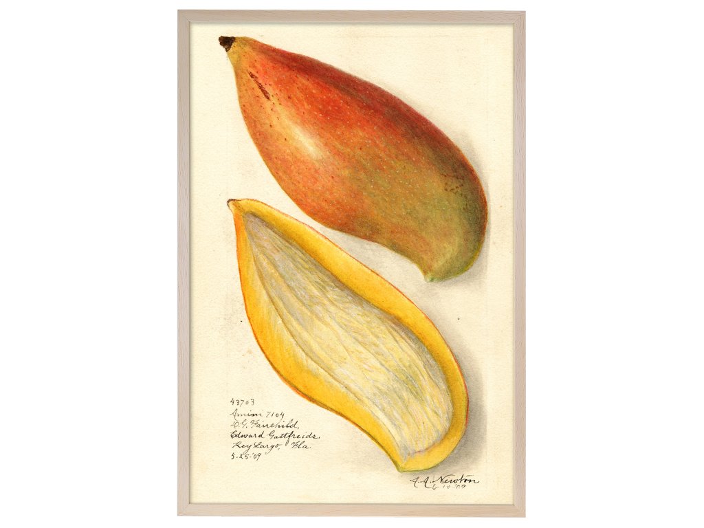 Reprodukce rám mango 40x60 1