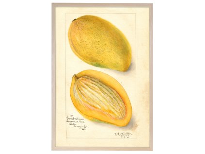 Reprodukce rám mango 40x60 2