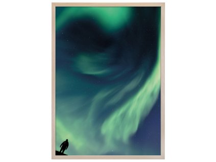 Fotografie aurora borealis A1 RAM naur