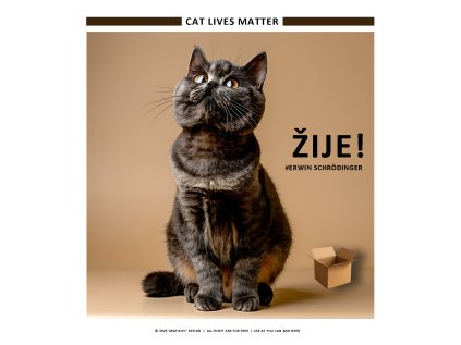 cat lives matter new 06 2025