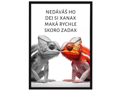 PLAKAT A1 Xanax RAM CERNY