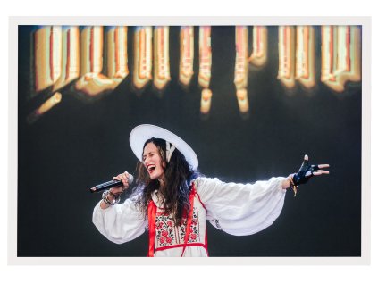 Alina Pash Colours of OSTRAVA RAM ART 62x93 cm bily