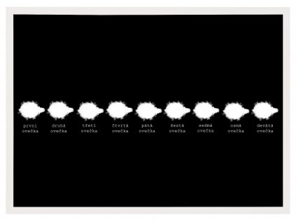 Plakát SPI SLADCE a rám 50x70 BILY