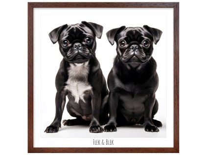 Plakát MOPS FLEK BLEK 60X60 CM RAM hnedy