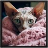 Plakat 60X60 Kanadsky B Sphynx RAM CERNY