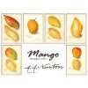 reprodukce plakat mango