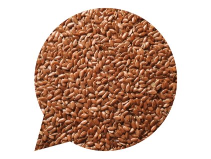 Obrázek 2