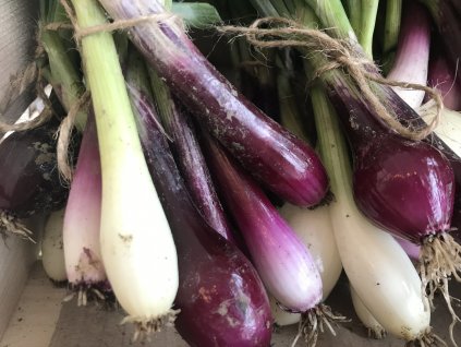 B4FD3A93 F386 480D 9FCA 7E22C66876C4