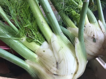 796805D5 0F1F 4FD8 A4B0 43CD929FF365