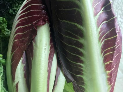 8E6DF2C6 2162 4F98 AFE1 7F216D770F63