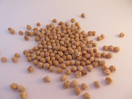 BIO Cizrna