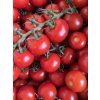 Rajčata TOMINO CZ