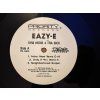 EAZY-E - 5150 HOME 4 THA SICK ORIGINÁL 1.PRESS USA