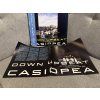 CASIOPEA - DOWN UPBEAT ORIGINÁL 1.PRESS JAPAN