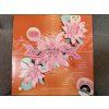 BJÖRK - POST ORIGINÁL 1.PRESS EU