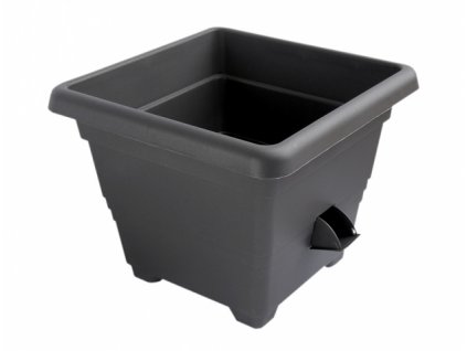 55850an