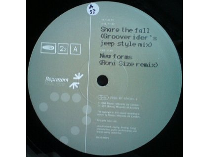 Roni Size / Reprazent ‎– Share The Fall