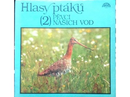 No Artist ‎– Hlasy Ptáků 2 - Pěvci Našich Vod