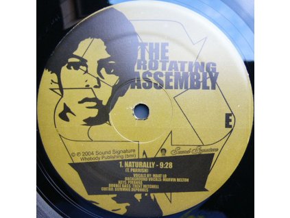 The Rotating Assembly ‎– Natural Aspirations -The 12" Series-